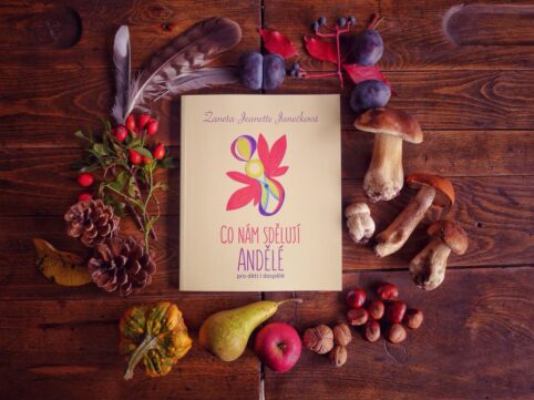 {{brizy_dc_image_alt entityId=